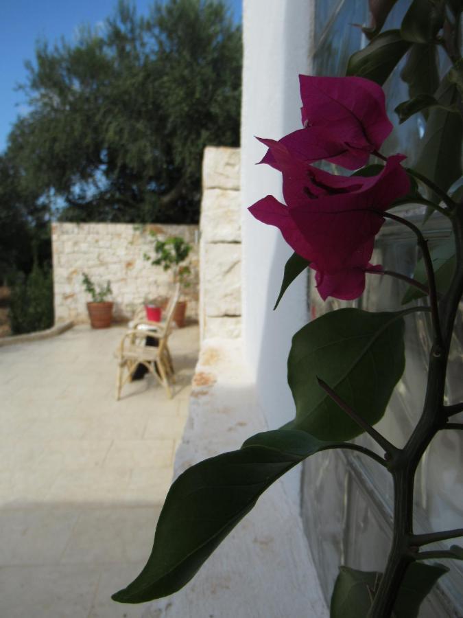 Casa Ale & Vinci Villa Monopoli Eksteriør billede