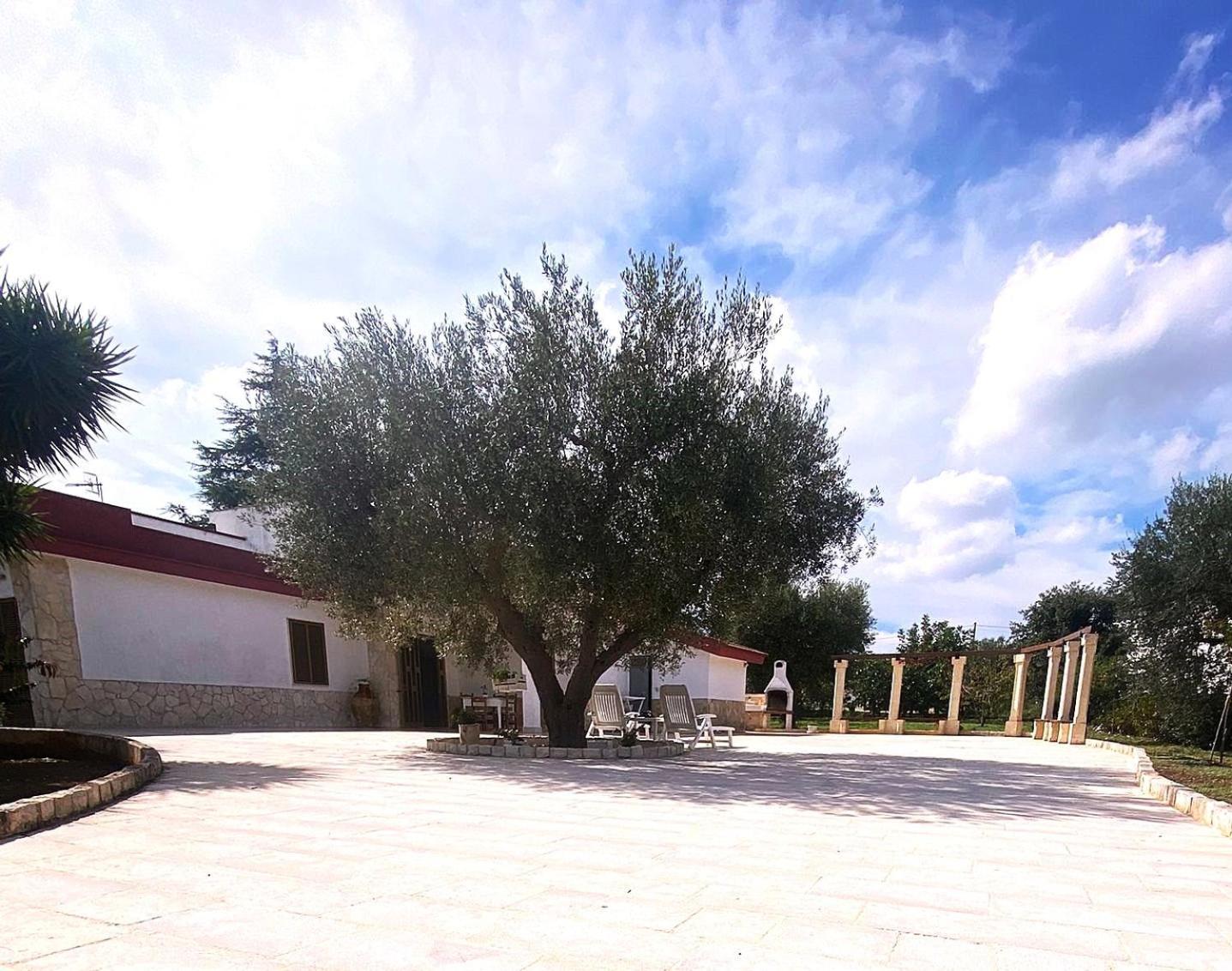 Casa Ale & Vinci Villa Monopoli Eksteriør billede