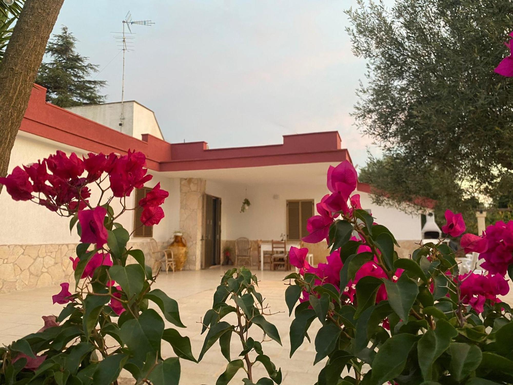 Casa Ale & Vinci Villa Monopoli Eksteriør billede